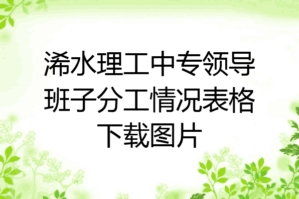 浠水理工中专领导班子分工情况表格下载图片