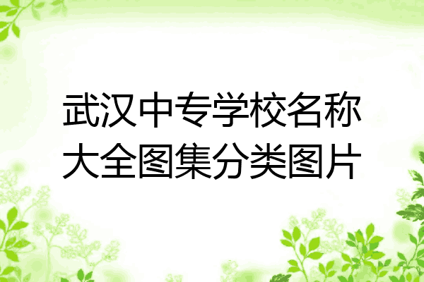 武汉中专学校名称大全图集分类图片