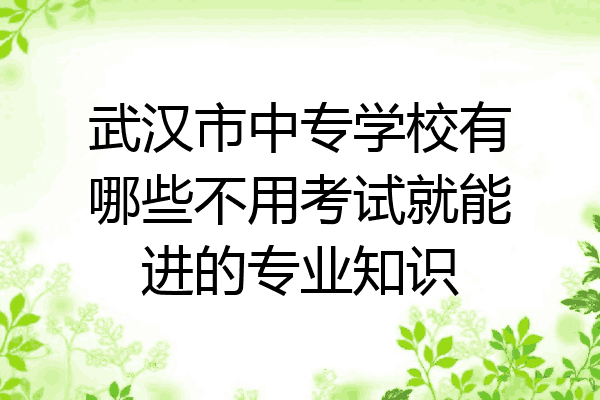 武汉市中专学校有哪些不用考试就能进的专业知识