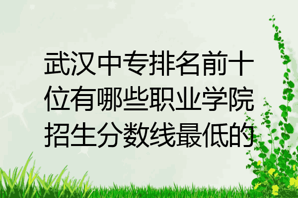 武汉中专排名前十位有哪些职业学院招生分数线最低的