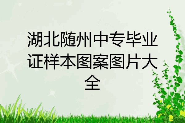 湖北随州中专毕业证样本图案图片大全