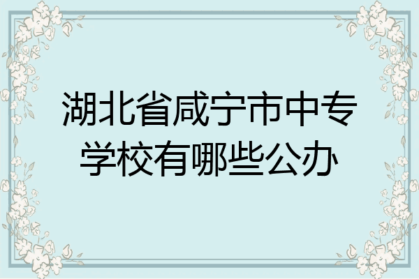 湖北省咸宁市中专学校有哪些公办