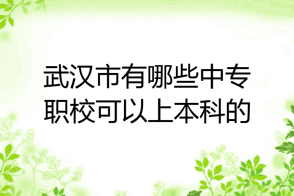 武汉市有哪些中专职校可以上本科的