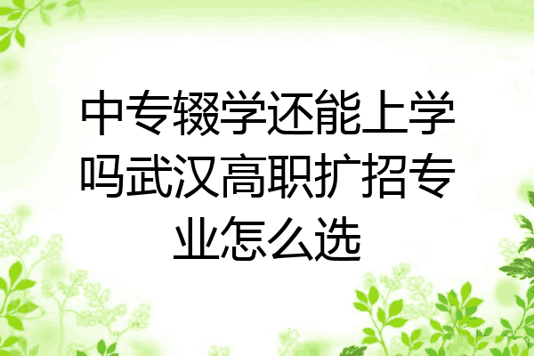 中专辍学还能上学吗武汉高职扩招专业怎么选