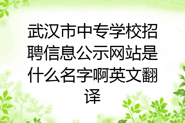 武汉市中专学校招聘信息公示网站是什么名字啊英文翻译