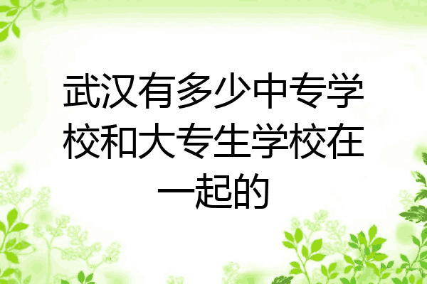 武汉有多少中专学校和大专生学校在一起的