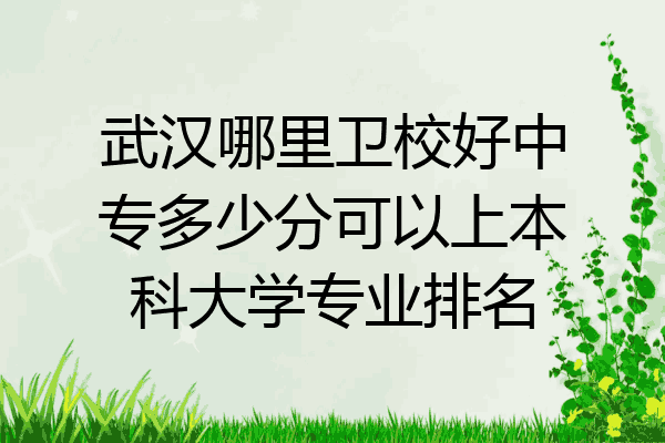 武汉哪里卫校好中专多少分可以上本科大学专业排名
