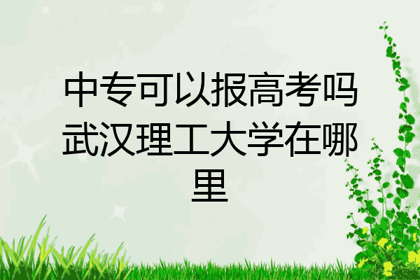 中专可以报高考吗武汉理工大学在哪里