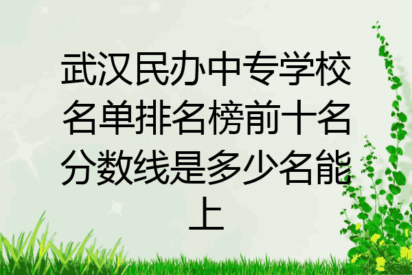 武汉民办中专学校名单排名榜前十名分数线是多少名能上