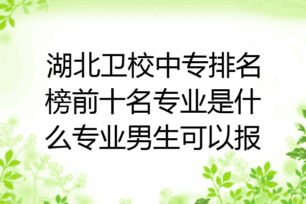 湖北卫校中专排名榜前十名专业是什么专业男生可以报