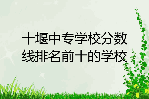 十堰中专学校分数线排名前十的学校