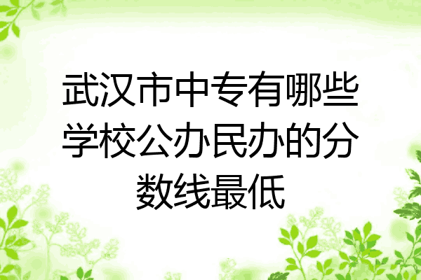 武汉市中专有哪些学校公办民办的分数线最低