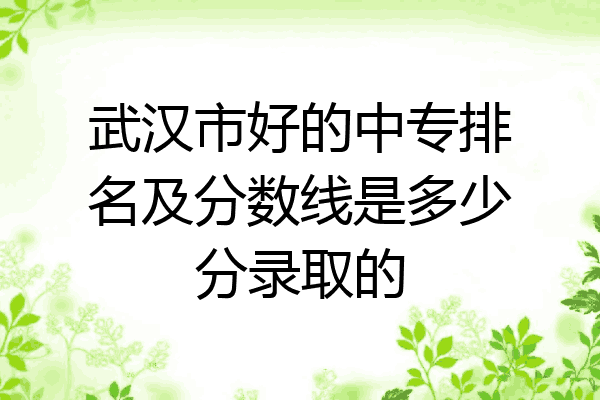 武汉市好的中专排名及分数线是多少分录取的