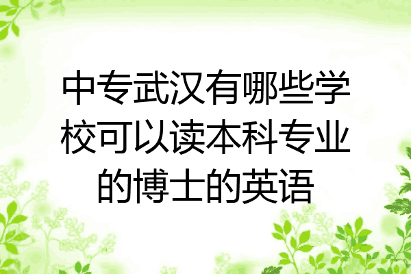 中专武汉有哪些学校可以读本科专业的博士的英语