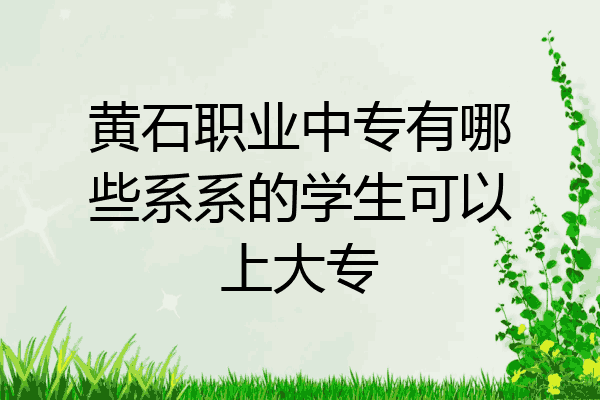 黄石职业中专有哪些系系的学生可以上大专