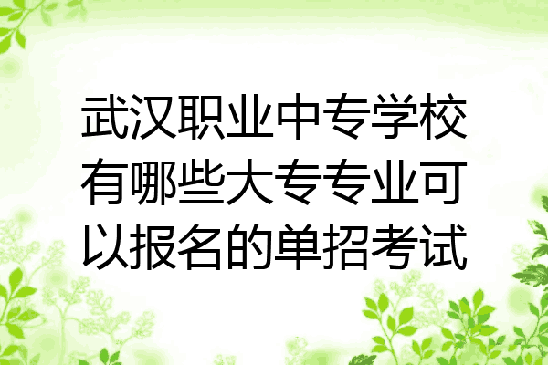 武汉职业中专学校有哪些大专专业可以报名的单招考试