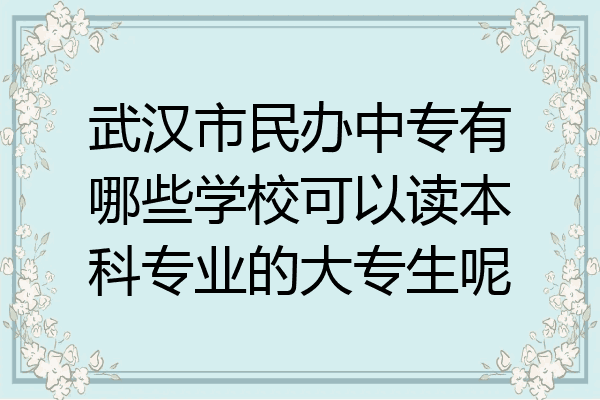 武汉市民办中专有哪些学校可以读本科专业的大专生呢