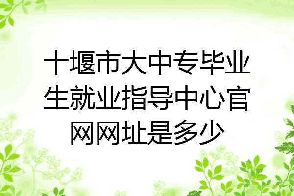 十堰市大中专毕业生就业指导中心官网网址是多少