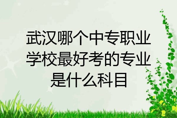武汉哪个中专职业学校最好考的专业是什么科目