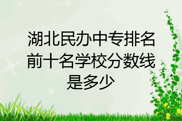 湖北民办中专排名前十名学校分数线是多少