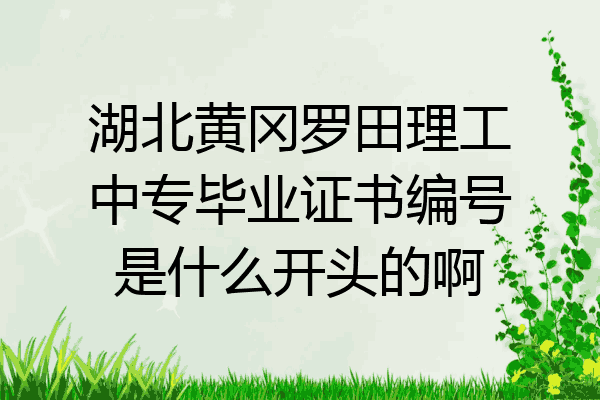 湖北黄冈罗田理工中专毕业证书编号是什么开头的啊