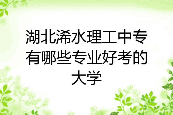 湖北浠水理工中专有哪些专业好考的大学