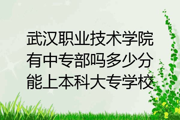 武汉职业技术学院有中专部吗多少分能上本科大专学校