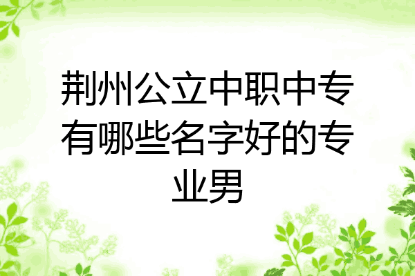荆州公立中职中专有哪些名字好的专业男