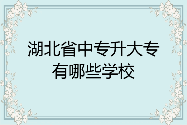湖北省中专升大专有哪些学校