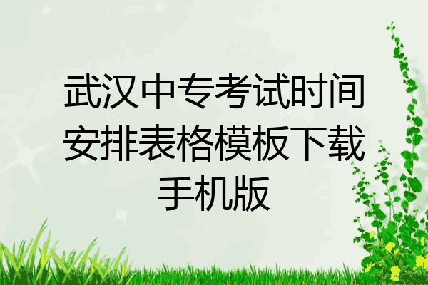 武汉中专考试时间安排表格模板下载手机版
