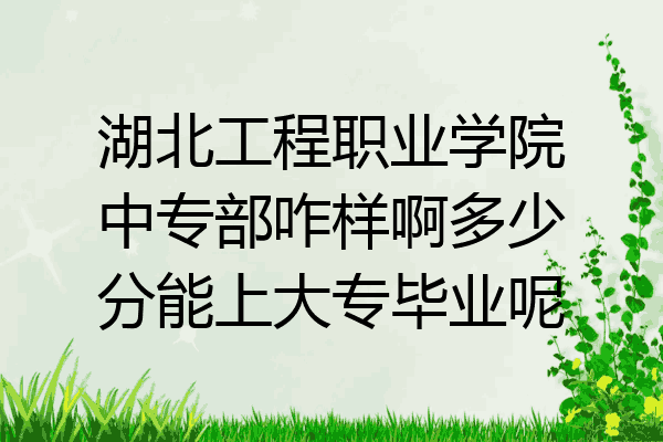 湖北工程职业学院中专部咋样啊多少分能上大专毕业呢