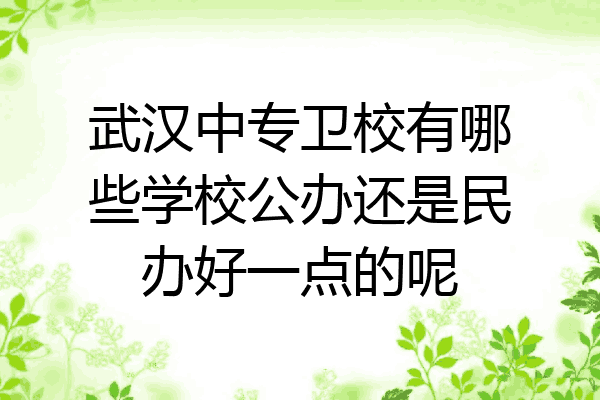 武汉中专卫校有哪些学校公办还是民办好一点的呢