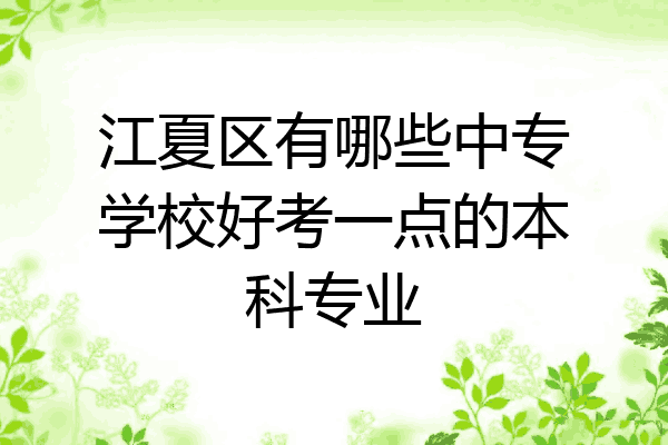 江夏区有哪些中专学校好考一点的本科专业