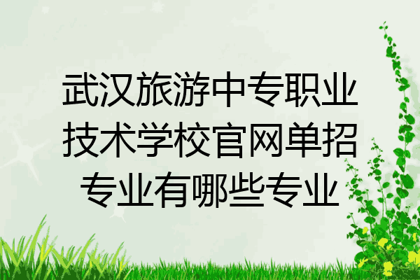 武汉旅游中专职业技术学校官网单招专业有哪些专业