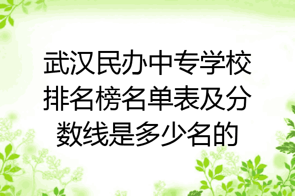 武汉民办中专学校排名榜名单表及分数线是多少名的