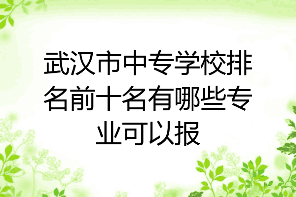 武汉市中专学校排名前十名有哪些专业可以报