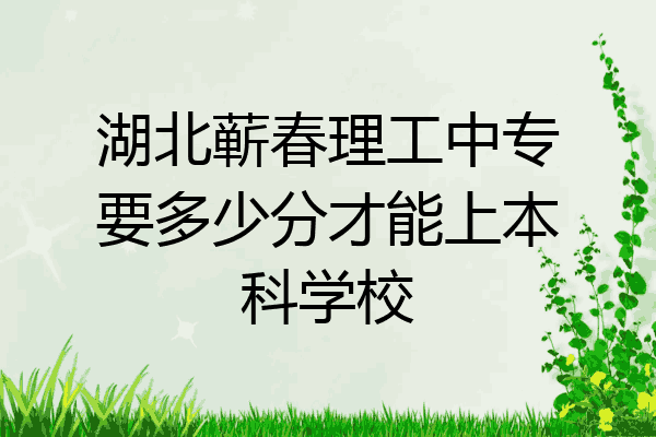 湖北蕲春理工中专要多少分才能上本科学校