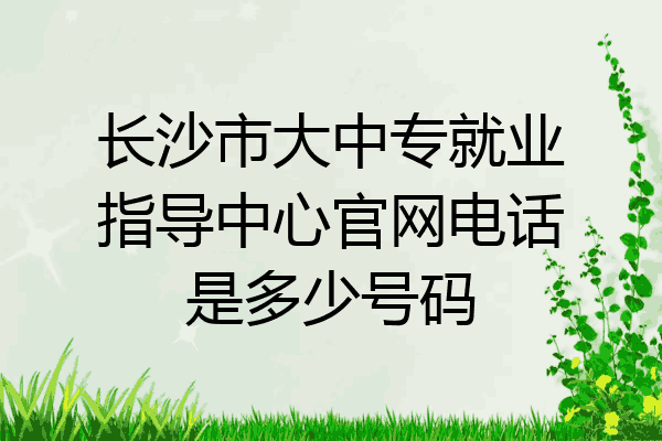 长沙市大中专就业指导中心官网电话是多少号码