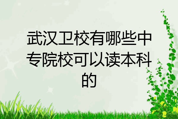 武汉卫校有哪些中专院校可以读本科的