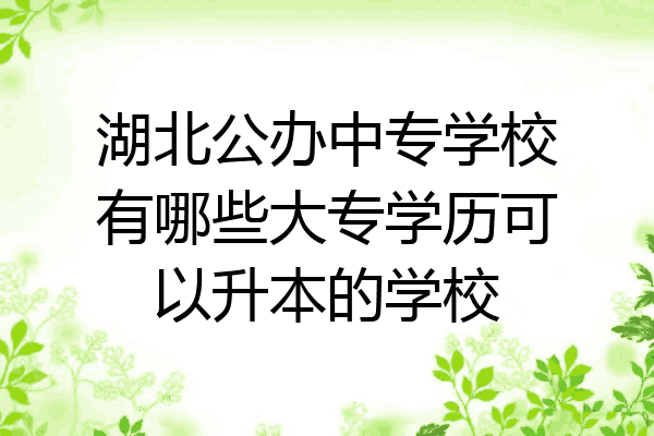 湖北公办中专学校有哪些大专学历可以升本的学校