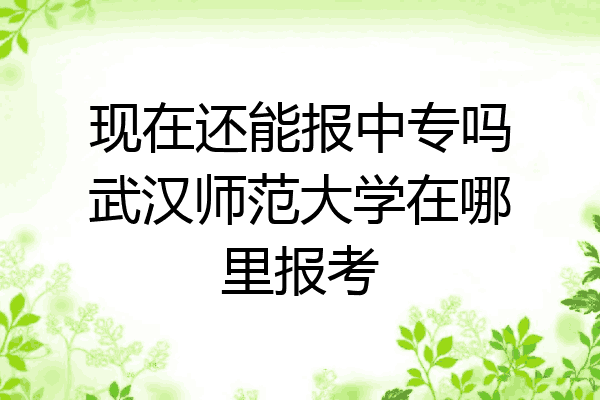 现在还能报中专吗武汉师范大学在哪里报考