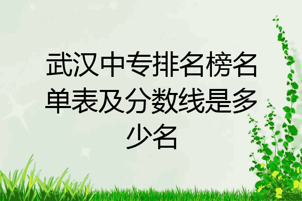 武汉中专排名榜名单表及分数线是多少名