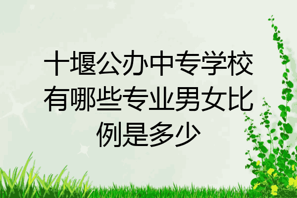 十堰公办中专学校有哪些专业男女比例是多少