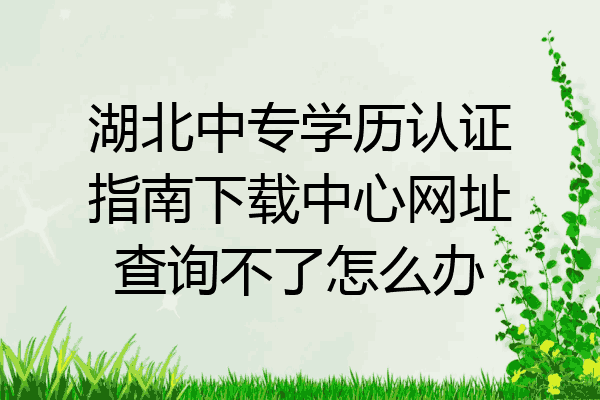 湖北中专学历认证指南下载中心网址查询不了怎么办