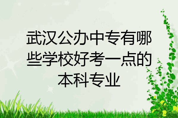 武汉公办中专有哪些学校好考一点的本科专业