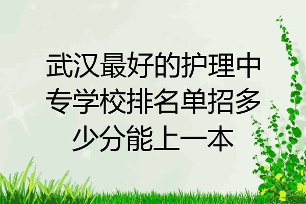 武汉最好的护理中专学校排名单招多少分能上一本