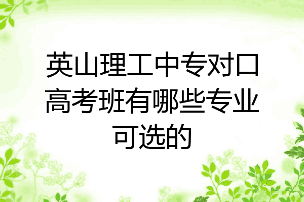 英山理工中专对口高考班有哪些专业可选的