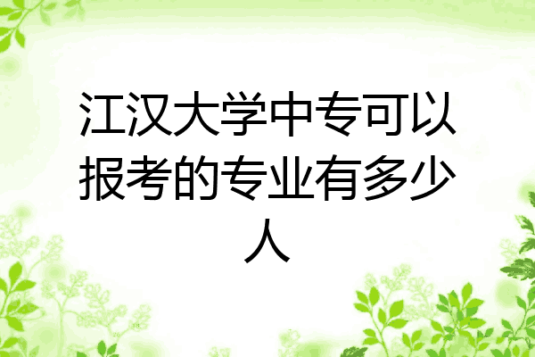 江汉大学中专可以报考的专业有多少人