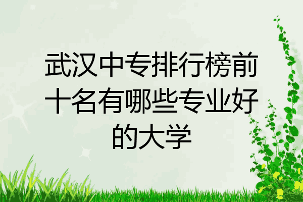 武汉中专排行榜前十名有哪些专业好的大学