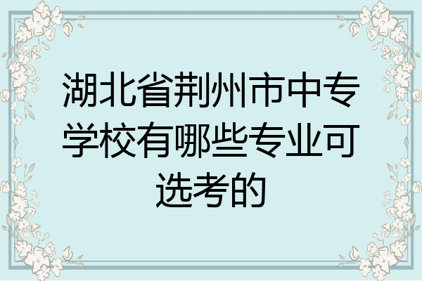 湖北省荆州市中专学校有哪些专业可选考的